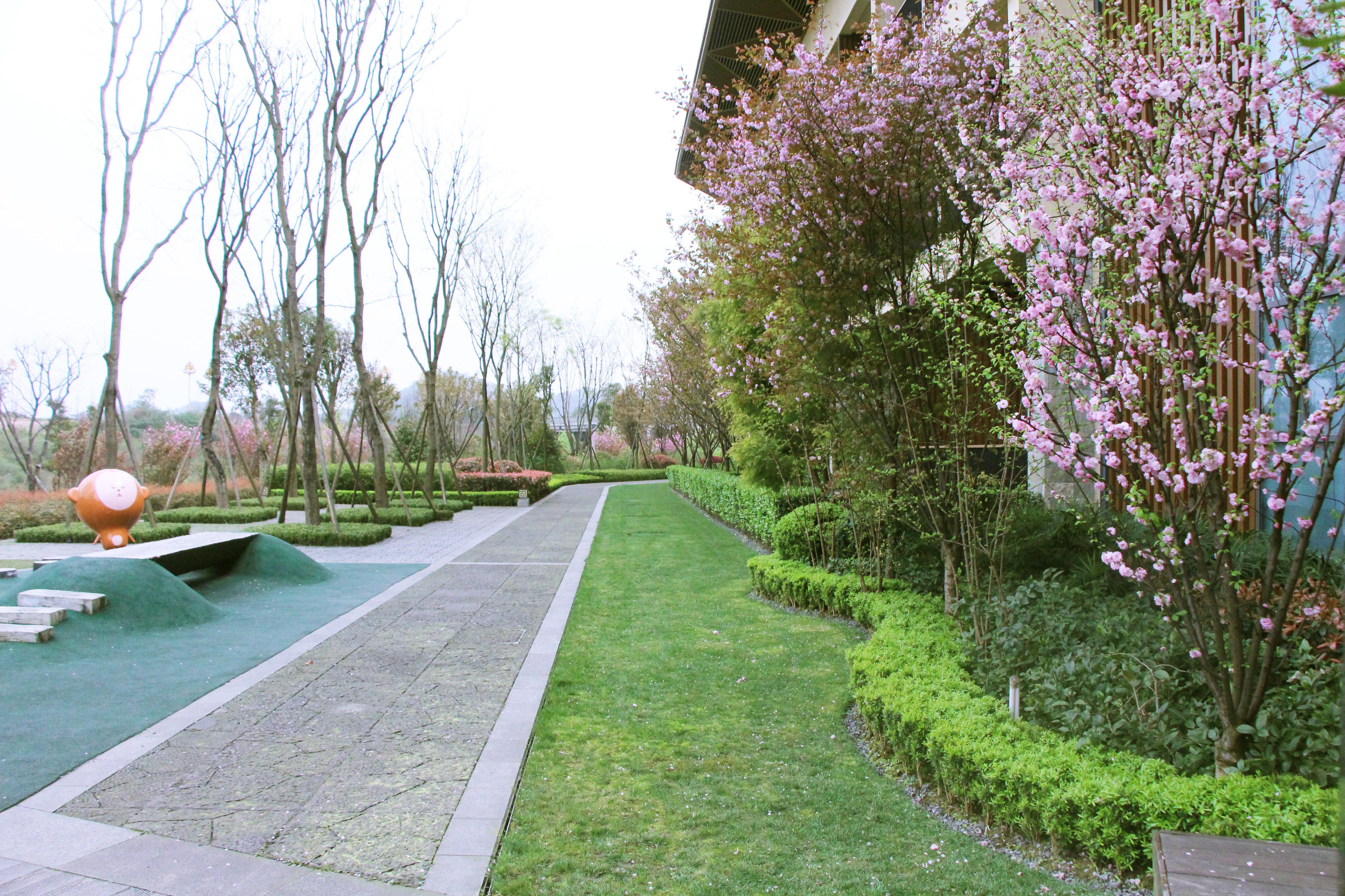 Holiday Inn Express Emei Mountain By Ihg Omejsan Kültér fotó