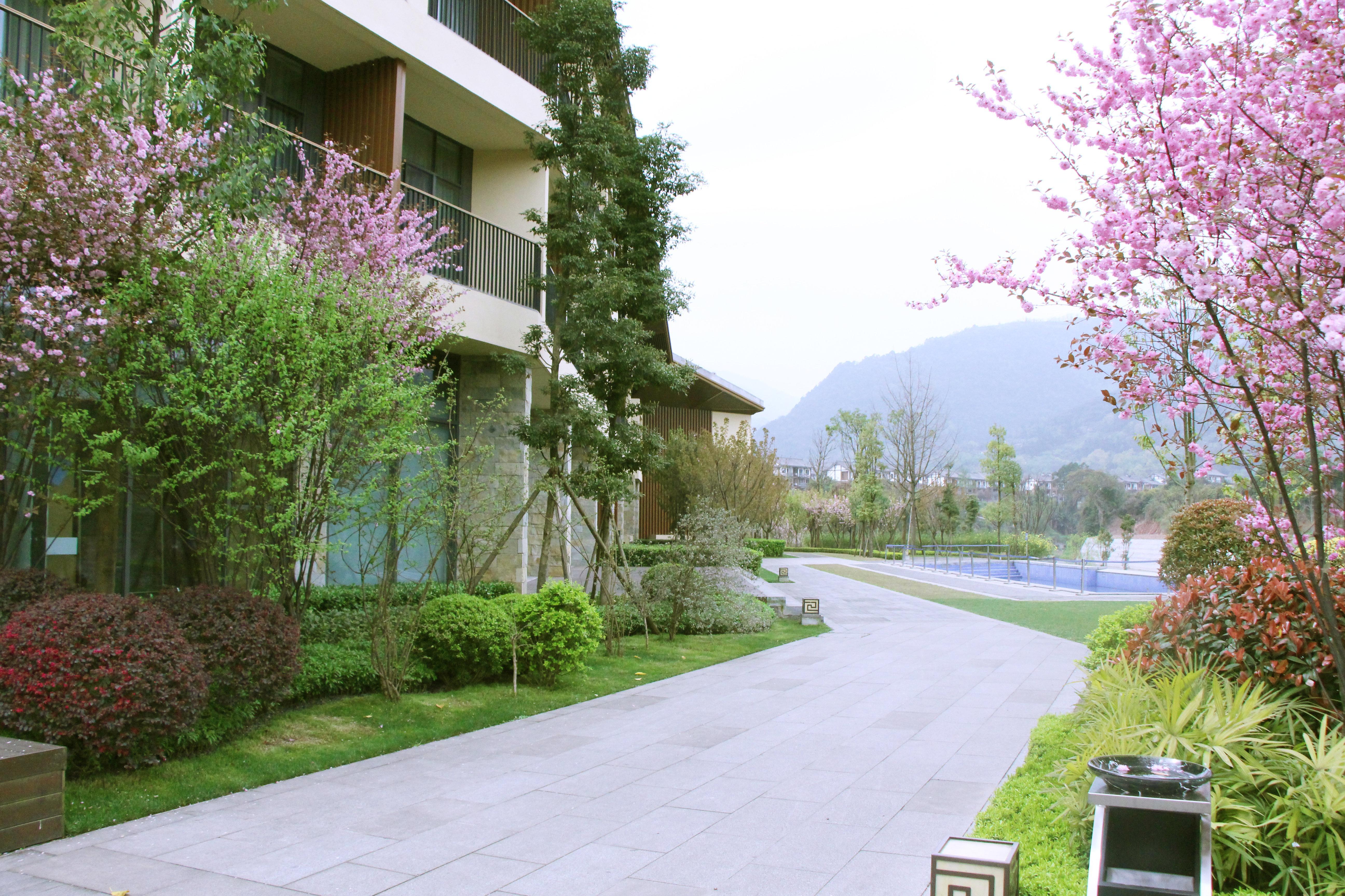 Holiday Inn Express Emei Mountain By Ihg Omejsan Kültér fotó